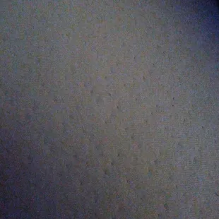 Race ass bitch I'll never spend ,$1.00 every Becky ass bish don't invest they are horrible