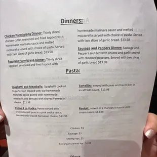 a hand holding a menu