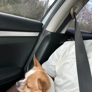 En route