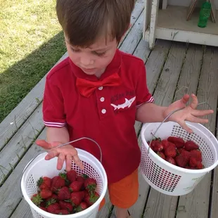 a young boy holding two buckets of strawberries