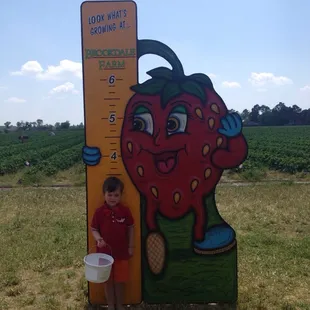 a young boy standing next to a giant growth chart