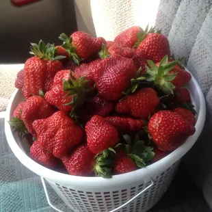a basket of strawberries