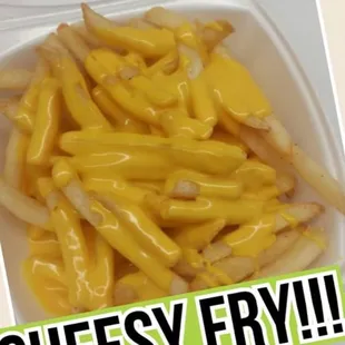 CHEESY FRIES