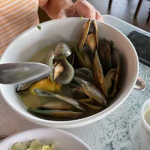 New Zealand mussels!