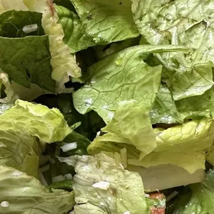 A sad handful of wet brown lettuce...er &apos;Caesar Salad&apos;.