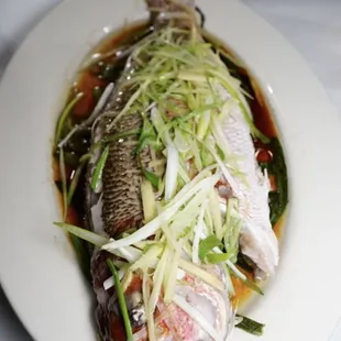 3lb Florida Red Snapper