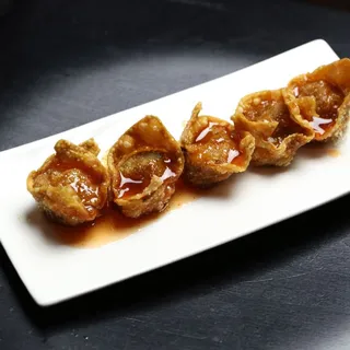 Crispy Chicken Wontons