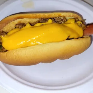 sandwich, hot dogs, hot dog, food