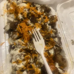 shellfish, food, mussels, oysters and mussels, oysters