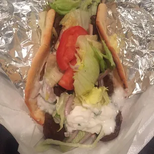 Full view of the gyro