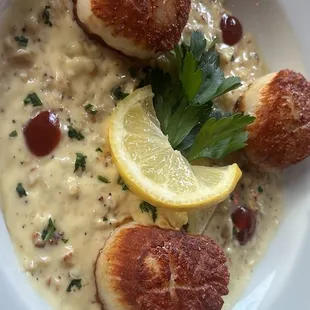Scallops