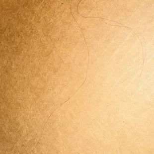 Hair and lent in my Pizza by Slice