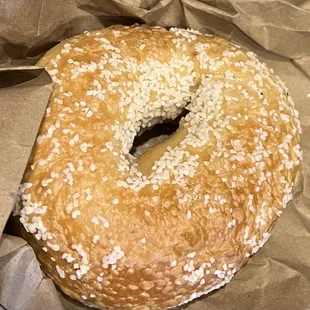 Salt Bagel
