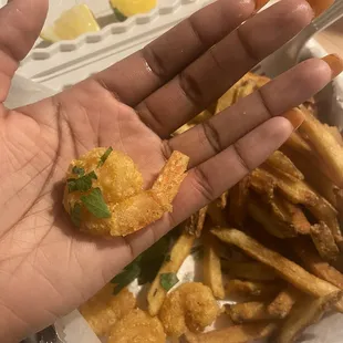 Extremely tiny shrimp