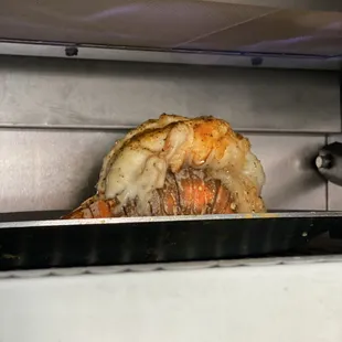 Lobster Tail