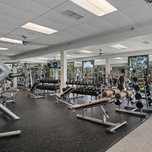 salads, interior