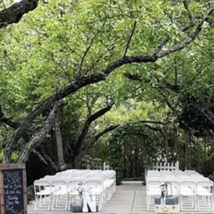 Ceremony site with it's canopy of walnut trees.
