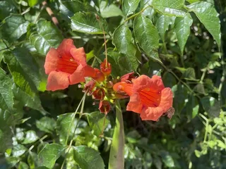 Rustic Gardens Golf Center