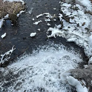 This is the book that runs under the bar and under the road to the other side.