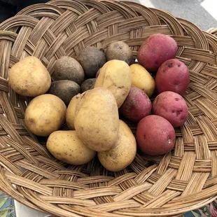  basket of potatoes