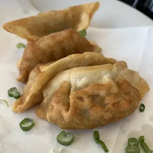 Fried Pork Gyoza