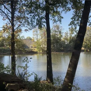 a view of a lake and trees