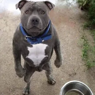 S H.