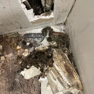 This is the inside of my apartment after asking for over a month to fix a leak.