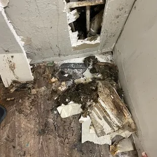 Just sad when maintenance won't fix a leak and you kitchen wall has to look at this