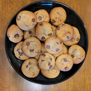 Chocolate Chip