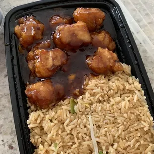 chicken and rice in a plastic container