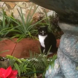 Patti C.