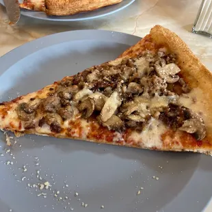 a slice of pizza on a plate