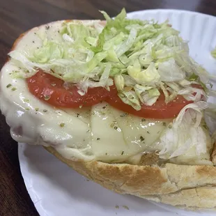 Italian Sub Toasted In The Oven/Extra Cheese