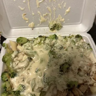 Chicken Broccoli Alfredo pasta