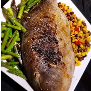 Customer Trigger Fish Photo