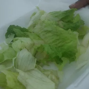 This was suppose to be a salad. Only brown lettuce.