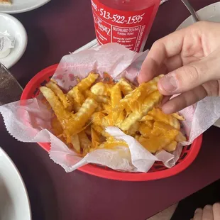 a basket of french fries