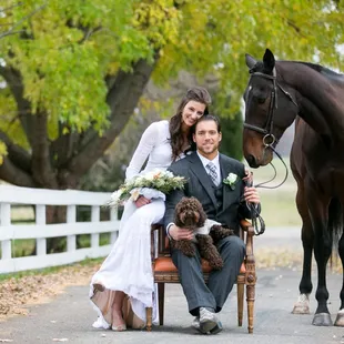 Horses? Yes, we can make that work!