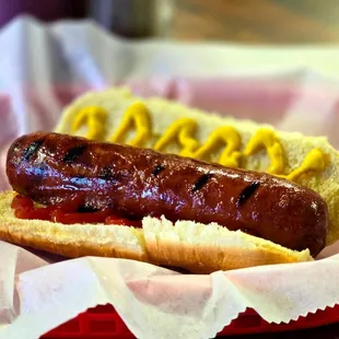 food, sandwich, hot dogs, hot dog