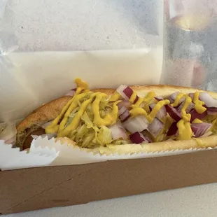 Sauerkraut Dog