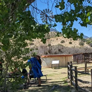 Under the cottonwoods