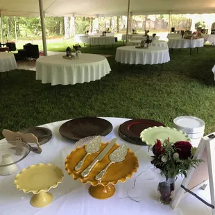Lawn Reception in the Indiana Hardwood Forest