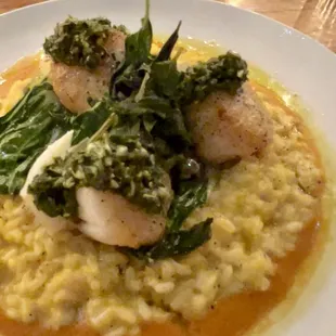 Diver Scallops