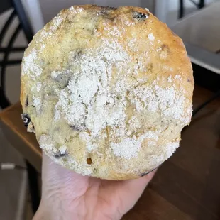Blueberry Muffin