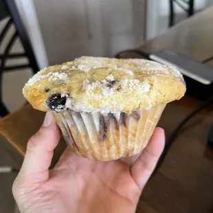 Blueberry Muffin