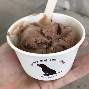 The turtle flavored ice cream was fantastic!