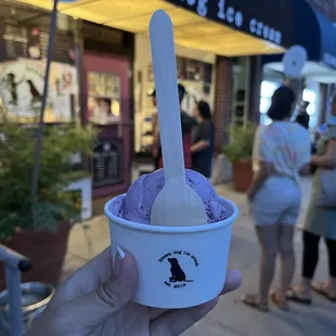 Mixed berry~ (seasonal)