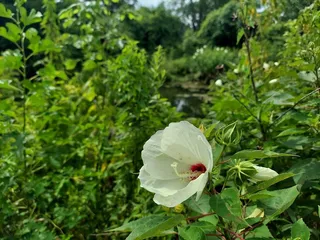 Arthur K Draut Park
