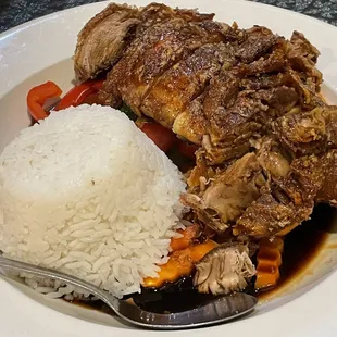 Duck Ginger Dinner